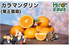 タカじいの カラマンダリン 家庭用 5kg サイズおまかせ M～2L / カラ カラオレンジ カラみかん 訳あり 和歌山 有田 柑橘 ※4月中旬〜5月に順次発送 【krs015-c-5A】