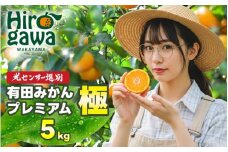 有田みかん 極 プレミアム 5kg (2S～Lサイズ) 光センサー選別 / 温州みかん みかん 甘い 高級 和歌山 柑橘 ※11月下旬～翌年1月上旬頃に順次発送予定 ※北海道・沖縄・離島への配送不可 【nuk004-p-5E】