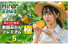有田みかん 極 プレミアム 5kg (2S～Lサイズ) 光センサー選別 / 温州みかん みかん 甘い 高級 和歌山 柑橘 ※11月下旬～翌年1月上旬頃に順次発送予定 ※北海道・沖縄・離島への配送不可 【nuk004-p-5E】