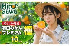 有田みかん 極 プレミアム 10kg (2S～Lサイズ) 光センサー選別 / 温州みかん みかん 甘い 高級 和歌山 柑橘 ※11月下旬～翌年1月上旬頃に順次発送予定 ※北海道・沖縄・離島への配送不可 【nuk004-p-10B】