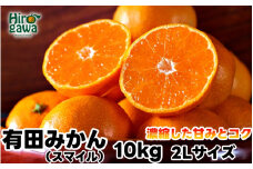 有田 みかん 10kg 秀品 2Lサイズ / 温州みかん 有田みかん 甘い 和歌山 柑橘 ※11月下旬～1月中旬に順次発送【sml004-r-10-2lB】