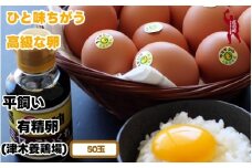 平飼い！高級 有精卵 50個入り（Lサイズ） / 玉子 たまご 高級 平飼い 贈答 【ymg609-p-50】