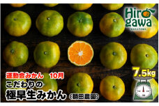 極早生 みかん 家庭用 7.5kg / 極早生みかん 温州みかん 甘い 家庭用 和歌山 柑橘 ※10月上旬～11月上旬順次発送 ※北海道・沖縄・離島への配送不可 【nuk003-r-7d5B】