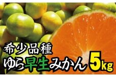 由良早生 みかん 家庭用 5kg / ゆら早生 温州みかん 極早生 甘い 家庭用 和歌山 柑橘 ※10月上旬～10月下旬順次発送 ※北海道・沖縄・離島への配送不可 【nuk003-yura-5B】