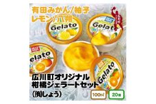 広川町 オリジナル 柑橘 ジェラート セット / アイス ジェラート みかん 旬 蜜柑 ミカン 柑橘 果物 フルーツ 和歌山県 広川町【sho115-hiro-20】