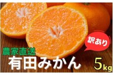 農家直送 有田 みかん 訳あり 5kg 光センサー 選別 / 温州みかん 有田みかん 甘い 家庭用 和歌山 柑橘 ※11月中旬～1月中旬に順次発送 ※北海道・沖縄・離島への配送不可 【nuk004-noka-c5B】