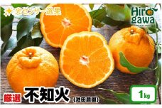 不知火 （ しらぬい ） 1kg+250g（痛み補償分） 厳選 光センサー / デコポン 高級 甘い 和歌山 柑橘 ※2月上旬～3月下旬に順次発送 ※北海道・沖縄・離島への配送不可【ikd010-p-1A】
