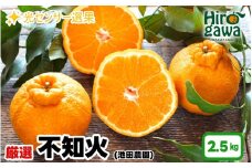 不知火 （ しらぬい ） 2.5kg+250g（痛み補償分） 厳選 光センサー / デコポン 高級 甘い 和歌山 柑橘 ※2月上旬～3月下旬に順次発送 ※北海道・沖縄・離島への配送不可【ikd010-p-2d5A】