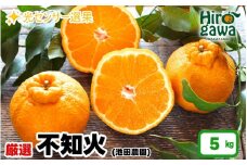不知火 （ しらぬい ） 5kg+250g（痛み補償分） 厳選 光センサー / デコポン 高級 甘い 和歌山 柑橘 ※2月上旬～3月下旬に順次発送 ※北海道・沖縄・離島への配送不可【ikd010-p-5C】