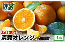 清見 オレンジ 家庭用 1kg+250g（痛み補償分） 光センサー / 訳あり 清見オレンジ 清見タンゴール きよみ 清美 甘い 和歌山 柑橘 ※2月上旬～6月上旬に順次発送 ※北海道・沖縄・離島への配送不可 【ikd011-c-1B】