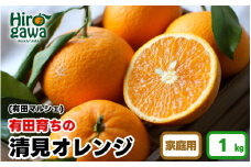 【先行予約】 【産地直送】 有田 育ちの ご家庭用 完熟 清見 オレンジ 1kg+100g(補償分) / みかん 甘い オレンジ フルーツ 果物 有田 和歌山 ※2026年2月下旬～2026年3月下旬に順次発送 ※北海道・沖縄・離島への配送不可 【ard011-c-1】  