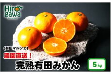 農園直送！ 完熟有田みかん 5kg+200g(傷み補償分) ＜12月発送予定＞ 秀・優混み SSサイズ～Lサイズ混合 ※北海道・沖縄・離島への配送不可 / 和歌山 有田みかん ミカン オレンジ 甘い フルーツ 果物 産地直送 【ard004-noen-5-12B】
