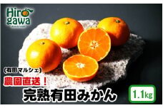 農園直送！ 完熟有田みかん 1.1kg+200g(傷み補償分) ＜12月発送予定＞ 秀・優混み SSサイズ～Lサイズ混合 ※北海道・沖縄・離島への配送不可 / 和歌山 有田みかん ミカン オレンジ 甘い フルーツ 果物 産地直送 【ard004-noen-1d1-12】