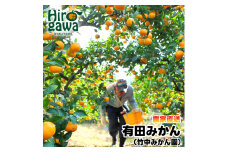 ▼早生みかん 5kg　（11月末までの予約特別価格）（サイズ混合） ※12月～1月順次発送予定 【tkn004-wr-5-11】
