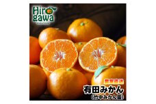 ▼早生みかん 5kg（サイズ混合） ※12月～1月順次発送予定 【tkn004-wr-5-12】