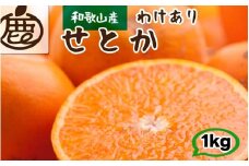 家庭用 せとか 1kg+250g（痛み補償分） 光センサー / 訳あり 甘い 和歌山 柑橘 ※2月上旬～4月上旬頃に順次発送 ※北海道・沖縄・離島への配送不可 【ikd014-c-1A】