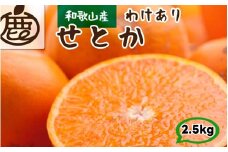 家庭用 せとか 2.5kg+250g（痛み補償分） 光センサー / 訳あり 甘い 和歌山 柑橘 ※2月上旬～4月上旬頃に順次発送 ※北海道・沖縄・離島への配送不可 【ikd014-c-2d5A】