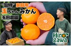 有田 みかん 旨時 体に優しい玉ちゃんみかん 5kg / 温州みかん 有田みかん 甘い 和歌山 柑橘 ※12月初旬～2月中旬に順次発送【tmd004-cu-5】