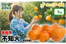 不知火 （ しらぬい ） 1kg+250g（痛み補償分） 家庭用 光センサー / デコポン 訳あり 甘い 和歌山 柑橘 ※2月上旬～3月下旬に順次発送 ※北海道・沖縄・離島への配送不可【ikd010-c-1C】