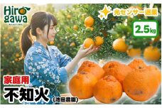 不知火 （ しらぬい ） 2.5kg+250g（痛み補償分） 家庭用 光センサー / デコポン 訳あり 甘い 和歌山 柑橘 ※2月上旬～3月下旬に順次発送 ※北海道・沖縄・離島への配送不可【ikd010-c-2d5C】