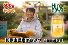 はちみつ 和歌山県産 600g みかん蜜 / 国産 和みつ みかん蜂蜜 蜂蜜 みかん 蜜柑 はちみつ ハチミツ 保存食 防災グッズ 【tec603-600-mikan】