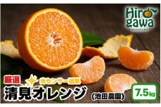 清見 オレンジ 厳選 7.5kg+250g（痛み補償分） 光センサー / 清見オレンジ 清見タンゴール きよみ 清美 甘い 高級 和歌山 柑橘 ※2月上旬～6月上旬に順次発送 ※北海道・沖縄・離島への配送不可 【ikd011-p-7d5】