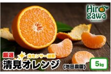 清見 オレンジ 厳選 5kg+250g（痛み補償分） 光センサー / 清見オレンジ 清見タンゴール きよみ 清美 甘い 高級 和歌山 柑橘 ※2月上旬～6月上旬に順次発送 ※北海道・沖縄・離島への配送不可 【ikd011-p-5D】