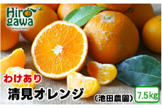清見 オレンジ 家庭用 7.5kg+250g（痛み補償分） 光センサー / 訳あり 清見オレンジ 清見タンゴール きよみ 清美 甘い 和歌山 柑橘 ※2月上旬～6月上旬に順次発送 ※北海道・沖縄・離島への配送不可 【ikd011-c-7d5B】