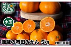 鹿蔵の 有田 みかん 訳あり 小玉 5kg 光センサー 選果 / 温州みかん 有田みかん 甘い 家庭用 和歌山 柑橘 ※11月順次発送予定 ※北海道・沖縄・離島への配送不可【ikd004-cs-5-novA】
