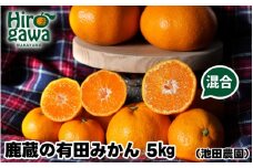 鹿蔵の 有田 みかん 訳あり 5kg 光センサー 選果 / 温州みかん 有田みかん 甘い 家庭用 和歌山 柑橘 ※11月順次発送予定 ※北海道・沖縄・離島への配送不可【ikd004-cm-5-novA】