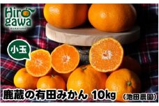 鹿蔵の 有田 みかん 訳あり 小玉 10kg 光センサー 選果 / 温州みかん 有田みかん 甘い 家庭用 和歌山 柑橘 ※11月順次発送予定 ※北海道・沖縄・離島への配送不可【ikd004-cs-10-novA】