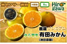 鹿蔵 プレミアム 有田みかん ( ゆら早生 ) 5kg+250g（傷み補償分） 光センサー 選果　※北海道・沖縄・離島への配送不可/ 温州みかん 痛み補償 果物 フルーツ くだもの 高級みかん 秀品 フルーツ 柑橘 蜜柑 mikan 産地直送 数量限定 国産 和歌山 【ikd003-prem-5A】