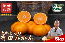 有田 みかん 5kg M・L  / 温州みかん 有田みかん 甘い 和歌山 柑橘 ※12月上旬〜1月上旬に順次発送【ymk004-5-ml】