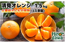 完熟 清見 オレンジ 1.5kg 久幸園 / 清見オレンジ 清見タンゴール きよみ 清美 甘い 高級 和歌山 柑橘 ※4月上旬～5月下旬に順次発送 【hsk011-r-1d5】