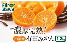 有田育ちの ご家庭用 完熟 有田みかん 1.2kg(1kg+200g) 農家直送 わけあり 訳あり ※12月上旬から下旬頃に順次発送予定 / 温州みかん みかん フルーツ 果物 柑橘 くだもの 人気 和歌山 【配送不可地域：北海道・離島・沖縄県】【ard004-c-1d2-12】