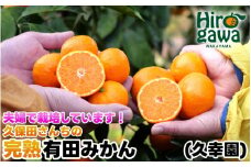 完熟 有田 みかん サイズ混合 2kg 久幸園 / 温州みかん 有田みかん 甘い 家庭用 和歌山 柑橘 ※11月〜順次発送予定 【hsk004-r-2】