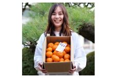 有田 みかん しにせの味 (1kg) サイズお任せ / 温州みかん 有田みかん 甘い 和歌山 柑橘 ※11月上旬～翌年2月中旬頃に順次発送予定 【tkf004-r-1】