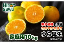 由良早生 みかん 訳あり 10kg / ゆら早生 温州みかん 極早生 甘い 家庭用 和歌山 柑橘 ※10月上旬～11月上旬順次発送 ※北海道・沖縄・離島への配送不可  【sml003-yura-c10】
