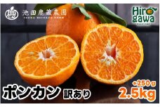  家庭用 ポンカン 2.5kg+250g（痛み補償分） 光センサー 食頃出荷 / 訳あり 有田 みかん 柑橘 蜜柑 くだもの 果物 果実 フルーツ 和歌山 ※1月中旬～2月下旬頃に順次発送予定 ※北海道・沖縄・離島への配送不可 【ikd008-c-2d5】