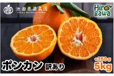  家庭用 ポンカン 5kg+250g（痛み補償分） 光センサー 食頃出荷 / 訳あり 有田 みかん 柑橘 蜜柑 くだもの 果物 果実 フルーツ 和歌山 ※1月中旬～2月下旬頃に順次発送予定 ※北海道・沖縄・離島への配送不可 【ikd008-c-5A】