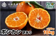 家庭用 ポンカン 10kg+250g（痛み補償分） 光センサー 食頃出荷 / 訳あり 有田 みかん 柑橘 蜜柑 くだもの 果物 果実 フルーツ 和歌山 ※1月中旬～2月下旬頃に順次発送予定 ※北海道・沖縄・離島への配送不可 【ikd008-c-10】