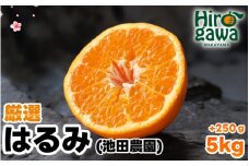 はるみ 厳選 5kg+250g（痛み補償分） 光センサー / デコポン 姉妹品種 甘い 高級 和歌山 有田 柑橘 ※2月上旬〜3月下旬に順次発送予定 ※北海道・沖縄・離島への配送不可 【ikd013-p-5B】