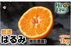 はるみ 厳選 1kg+250g（痛み補償分） 光センサー / デコポン 姉妹品種 甘い 高級 和歌山 有田 柑橘 ※2月上旬〜3月下旬に順次発送予定 ※北海道・沖縄・離島への配送不可 【ikd013-p-1A】