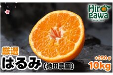 はるみ 厳選 10kg+250g（痛み補償分） 光センサー / デコポン 姉妹品種 甘い 高級 和歌山 有田 柑橘 ※2月上旬〜3月下旬に順次発送予定 ※北海道・沖縄・離島への配送不可【ikd013-p-10】