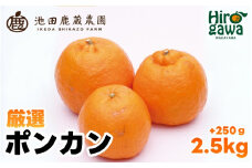  厳選 ポンカン 2.5kg+250g（痛み補償分） 光センサー 食頃出荷 / 有田 みかん 柑橘 蜜柑 くだもの 果物 果実 フルーツ 和歌山 ※1月中旬～2月下旬頃に順次発送予定 ※北海道・沖縄・離島への配送不可 【ikd008-p-2d5】