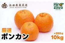  厳選 ポンカン 10kg+250g（痛み補償分） 光センサー 食頃出荷 / 有田 みかん 柑橘 蜜柑 くだもの 果物 果実 フルーツ 和歌山 ※1月中旬～2月下旬頃に順次発送予定 ※北海道・沖縄・離島への配送不可 【ikd008-p-10】