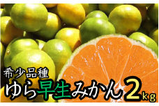 由良早生 みかん 家庭用 2kg / ゆら早生 温州みかん 極早生 甘い 家庭用 和歌山 柑橘 ※10月上旬～10月下旬順次発送 ※北海道・沖縄・離島への配送不可 【nuk003-yura-2】