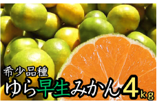 由良早生 みかん 家庭用 4kg / ゆら早生 温州みかん 極早生 甘い 家庭用 和歌山 柑橘 ※10月上旬～10月下旬順次発送 ※北海道・沖縄・離島への配送不可 【nuk003-yura-4】