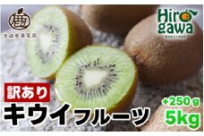 キウイ 家庭用 5kg+250g（痛み補償分） / キウイフルーツ 訳あり 和歌山 ※2025年11月中旬～2026年6月下旬に順次発送 ※北海道・沖縄・離島への配送不可【ikd505-c-5B】