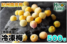 冷凍 梅 500g 家庭用 / 南高梅 訳あり 黄梅 完熟梅 梅ジュース 梅酒 和歌山 ※7月上旬より翌年3月末まで順次発送 ※北海道・沖縄・離島への配送不可 【ikd510-c-0d5A】